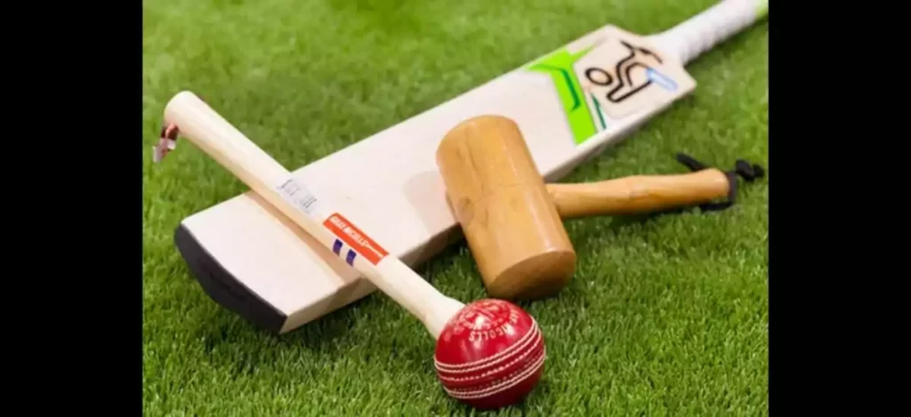 How To Knock In A Cricket Bat